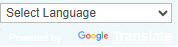 Google Translate section